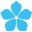 Splash Video logo