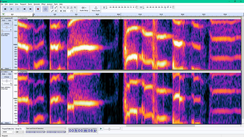Audacity interface preview 1