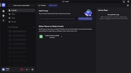 Discord interface preview 2