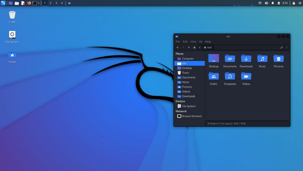 Kali Linux interface preview 1
