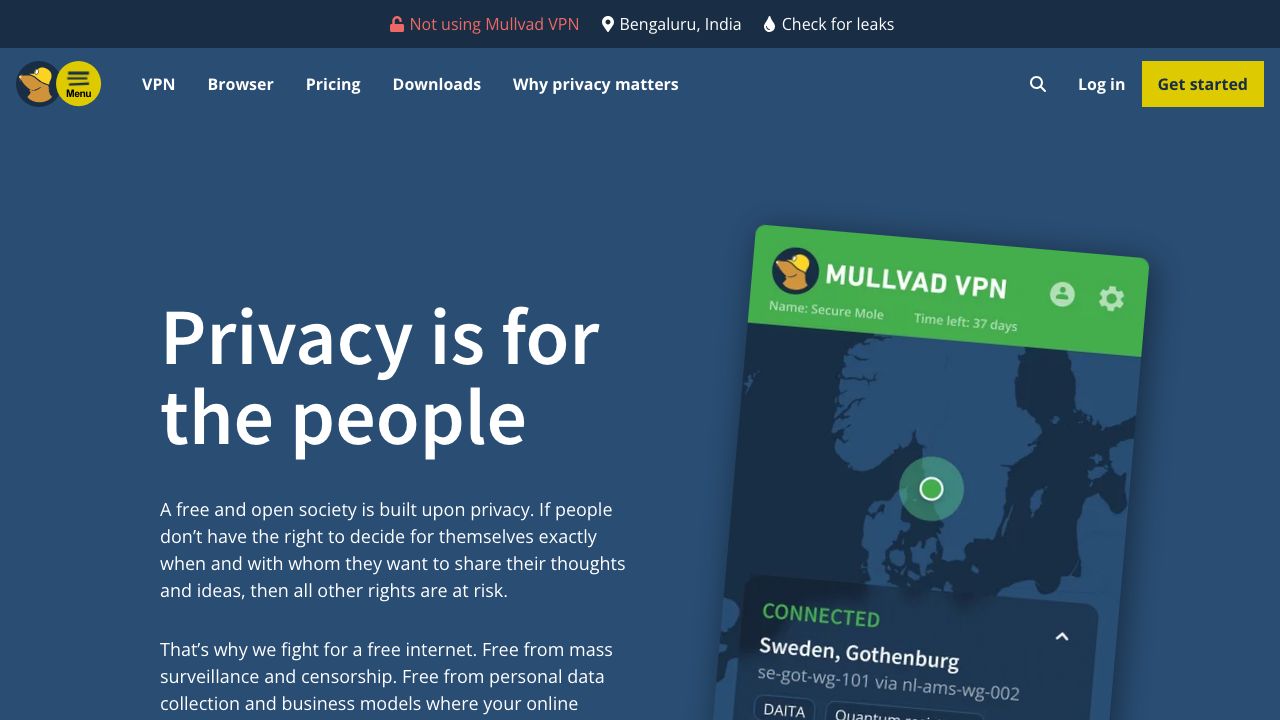 Mullvad VPN official website preview
