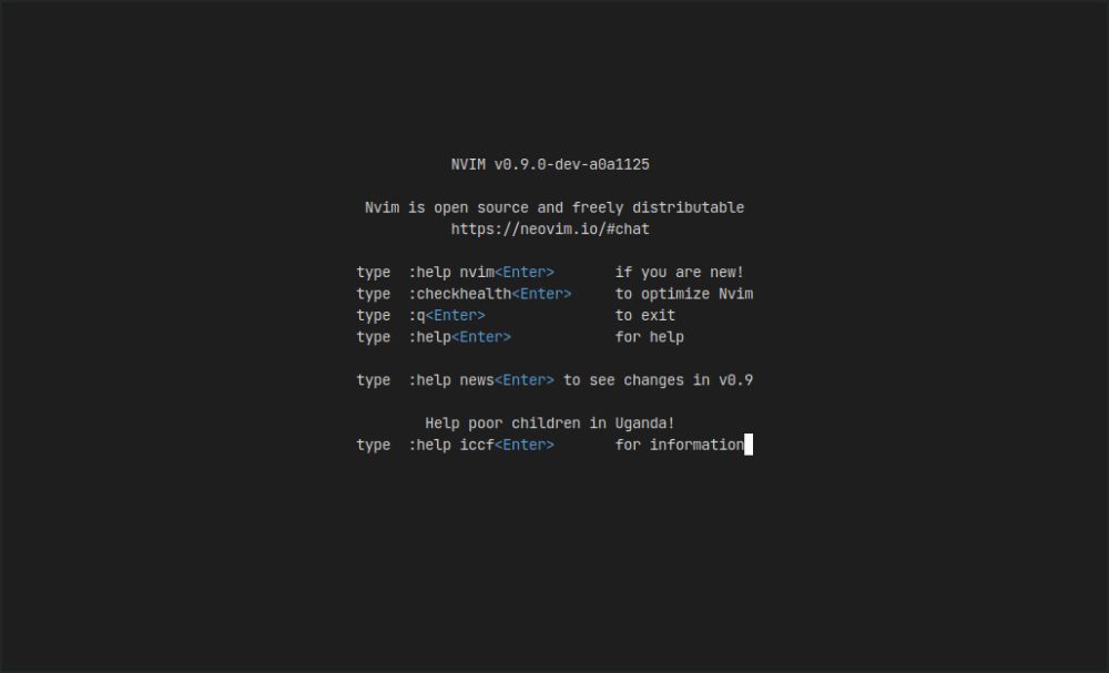 Neovim interface preview 3