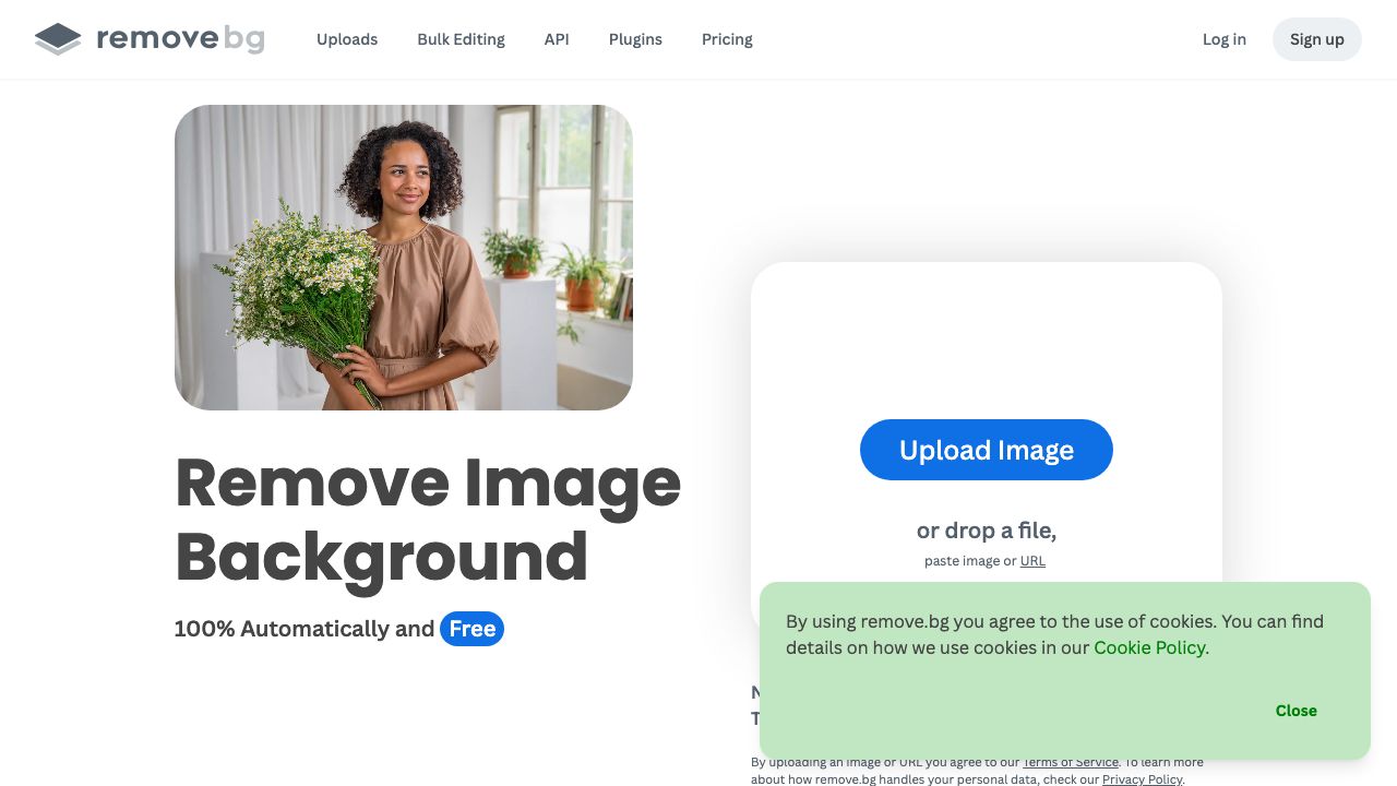Remove.bg official website preview