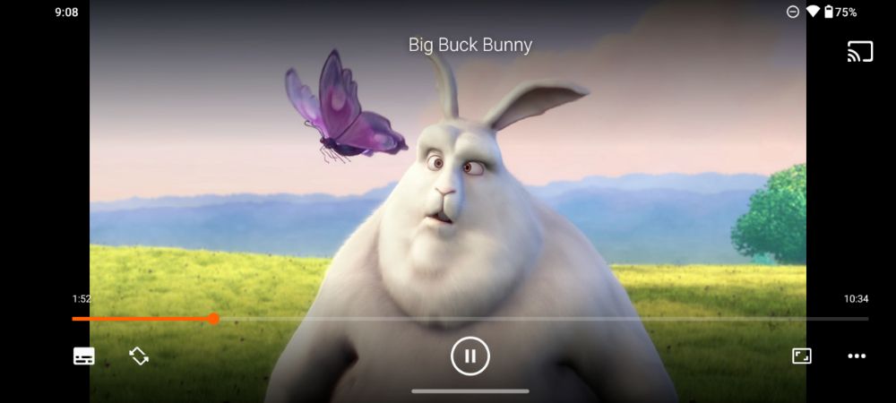 VLC Media Player interface preview 3